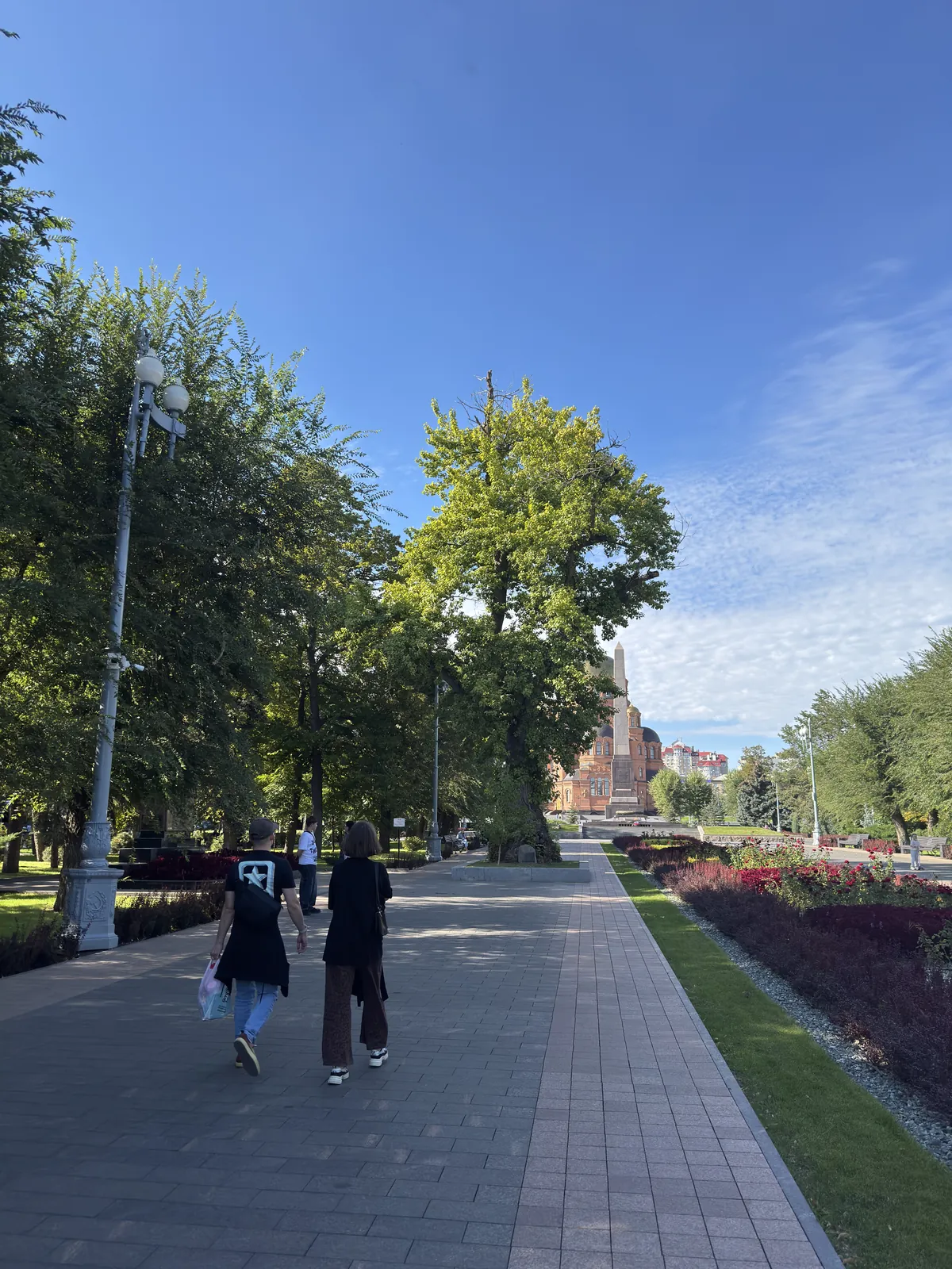 Старое дерево на аллее с фонарями в центре Волгограда